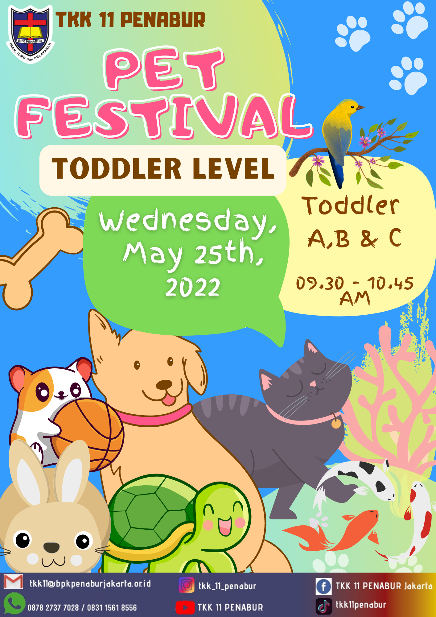 Toddler 4th Festival Pet Festival